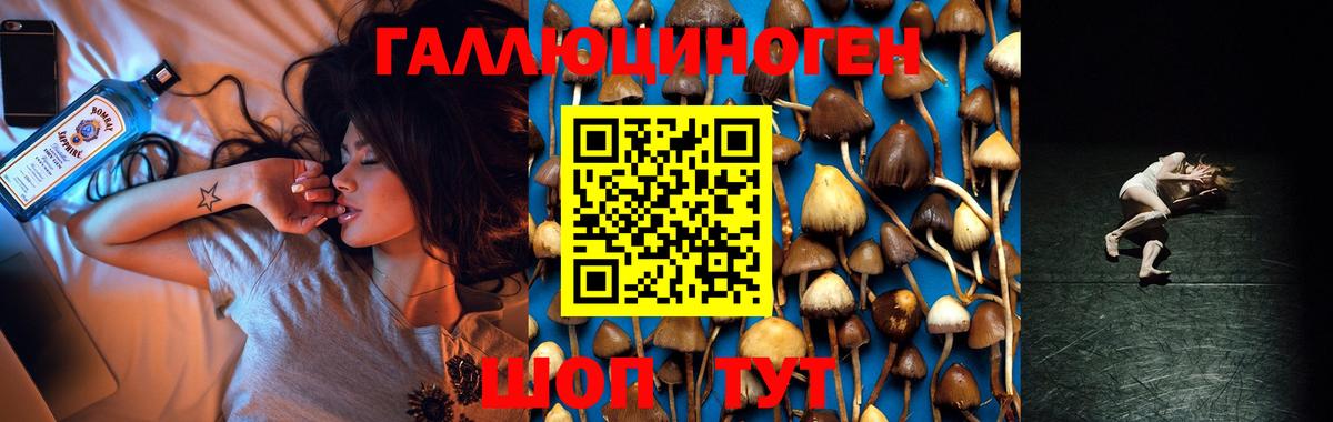 магазин продажи наркотиков  Галлюциногенные грибы MAGIC MUSHROOMS  Псилоцибиновые грибы мухоморы  Вход с VPN  Мытищи 
