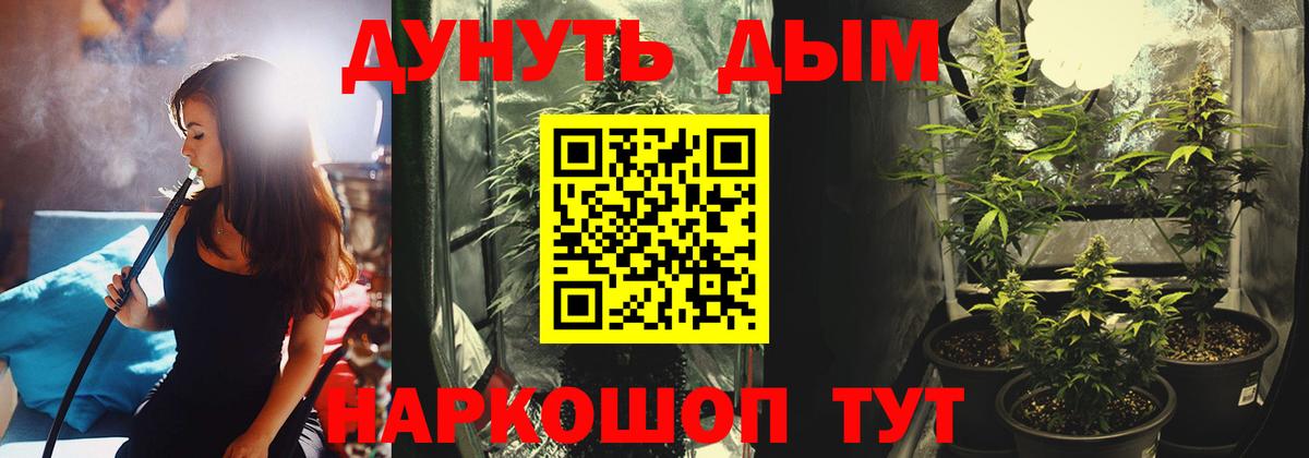 МАРИХУАНА план  Вход с VPN  Бошки марихуана планчик  Конопля Bruce Banner  Мытищи 